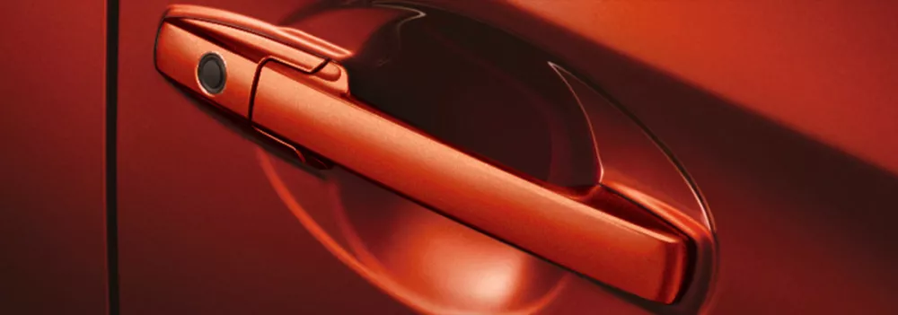 New Smart Entry System