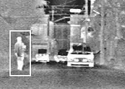 Honda Indonesia Image